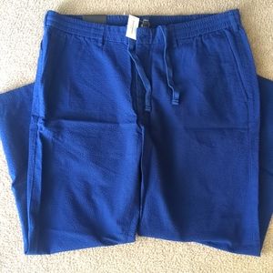 Banana Republic Blue Seersucker pant 38x32